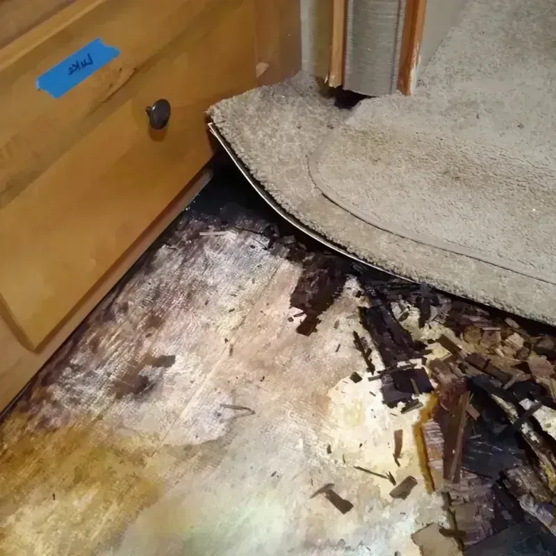 Wood Floor Water Damage in Milan, OH